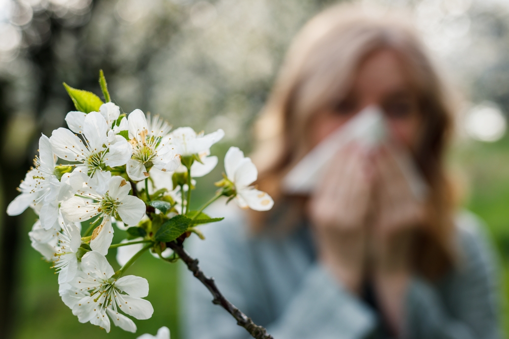 Combatting Allergy Season: Simple Steps to Alleviate Symptoms