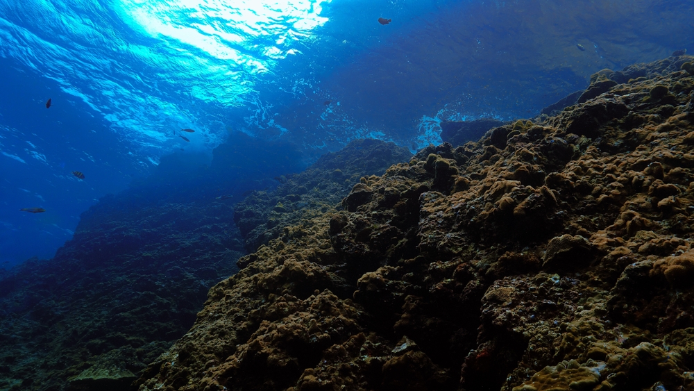 A Mysterious Millionaire is Funding the First Underwater Human Settlement