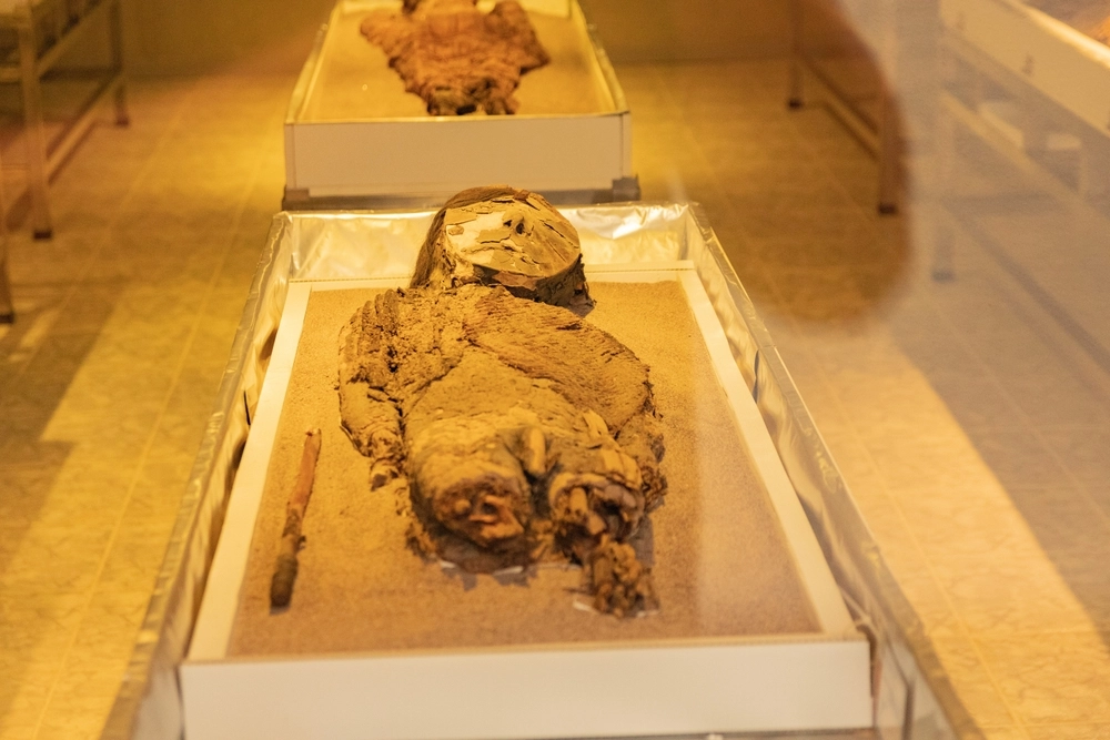 Mummies with hair: Unique 1000-year-old child remains excavated in Peru