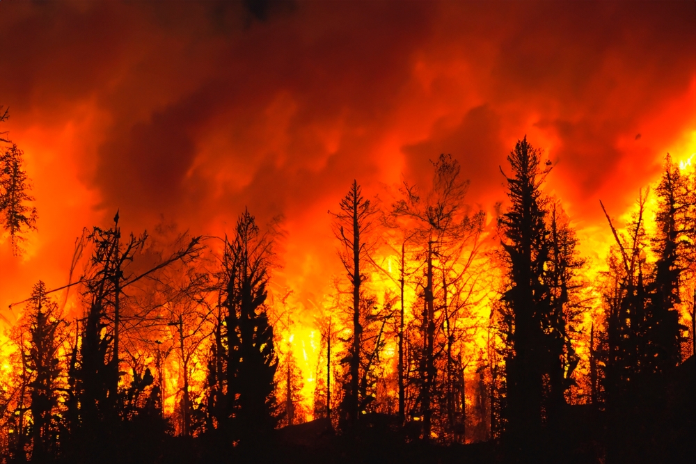 Wildfire ravages Oahu’s rainforest, highlighting climate change impact in Hawaii