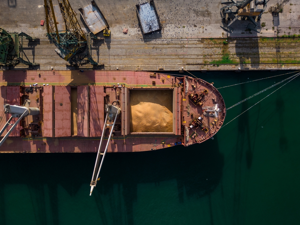 Historic Black Sea Demining Operations Aim to Secure Grain Exports