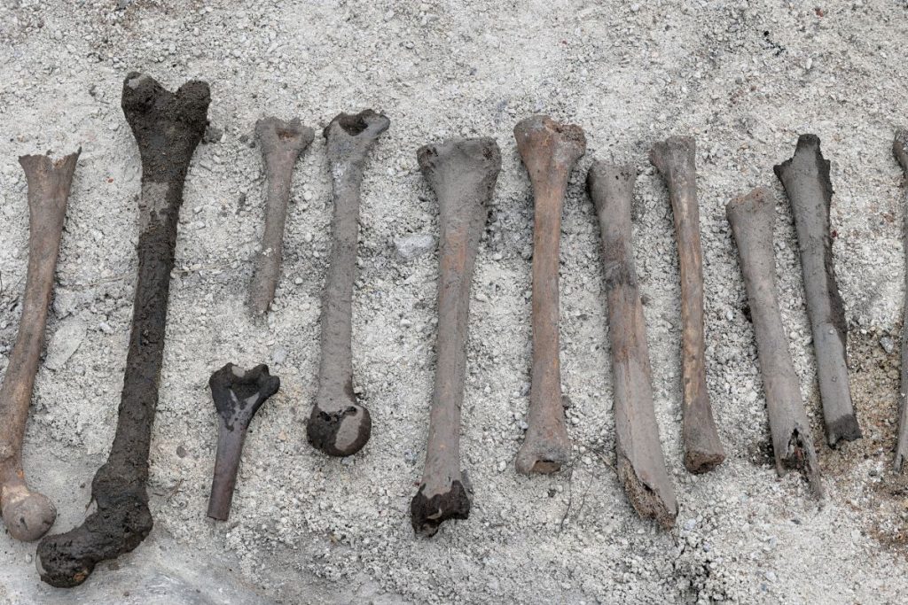 Ice Age People in Europe Ate Their Own Dead