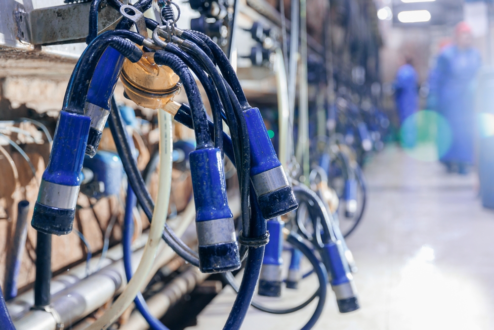 Cyberattack on Milking Robot Results in Tragic Death of Cow and Calf