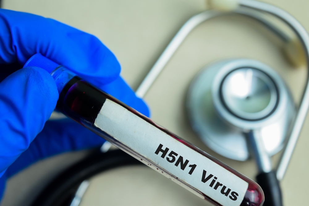 US Scientists Alert: Mutated Avian Flu in Cattle Could Infect Humans