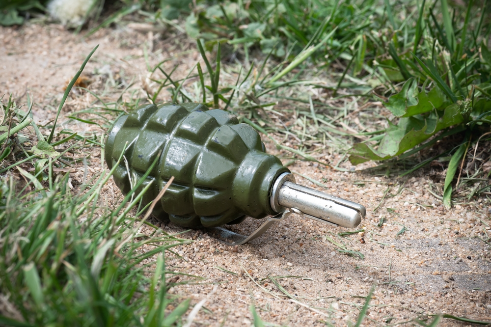 Meowing Booby Traps Confound Russian Troops on the Frontline