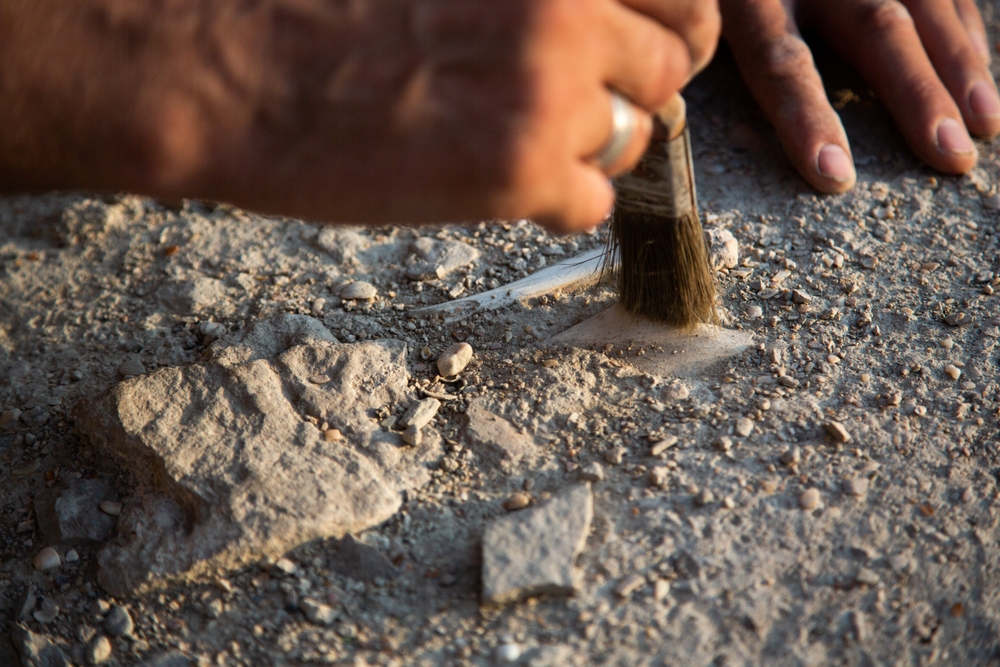 Ancient Human Skull Discovered in Spain Rewrite the History of Early Europeans