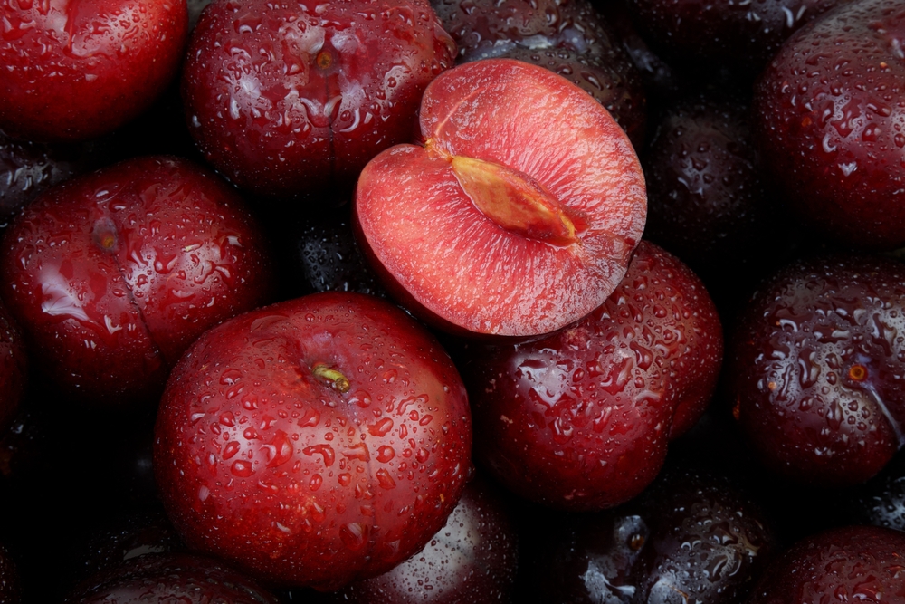 Poland Bans Over 80,000 kg of Contaminated Food from US and Ukraine