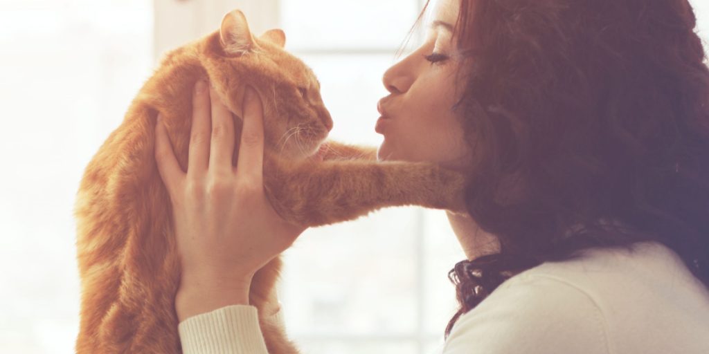 Do Cats Appreciate Kisses? French Cat Expert Gives the Answer