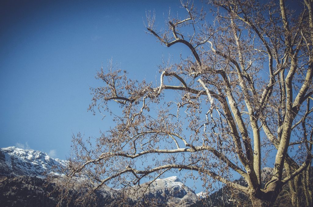 Greece Faces Extreme Weather Swings from Record Heat to Snow