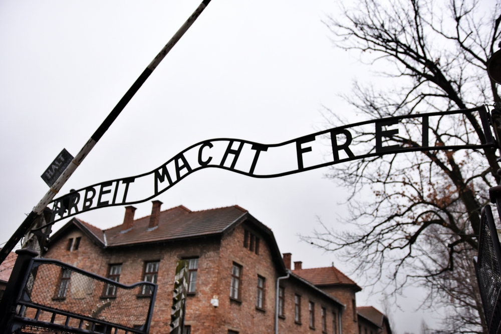 Survivors Gather 80 Years After Auschwitz Was Freed