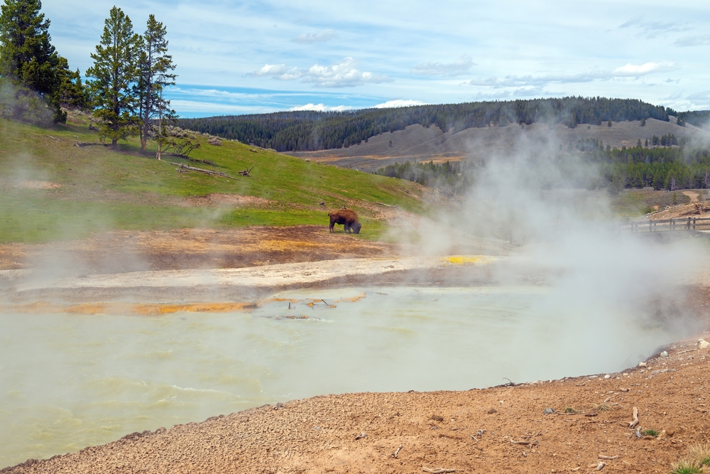 Researchers Warn of New Magma Activity Detected Under Yellowstone