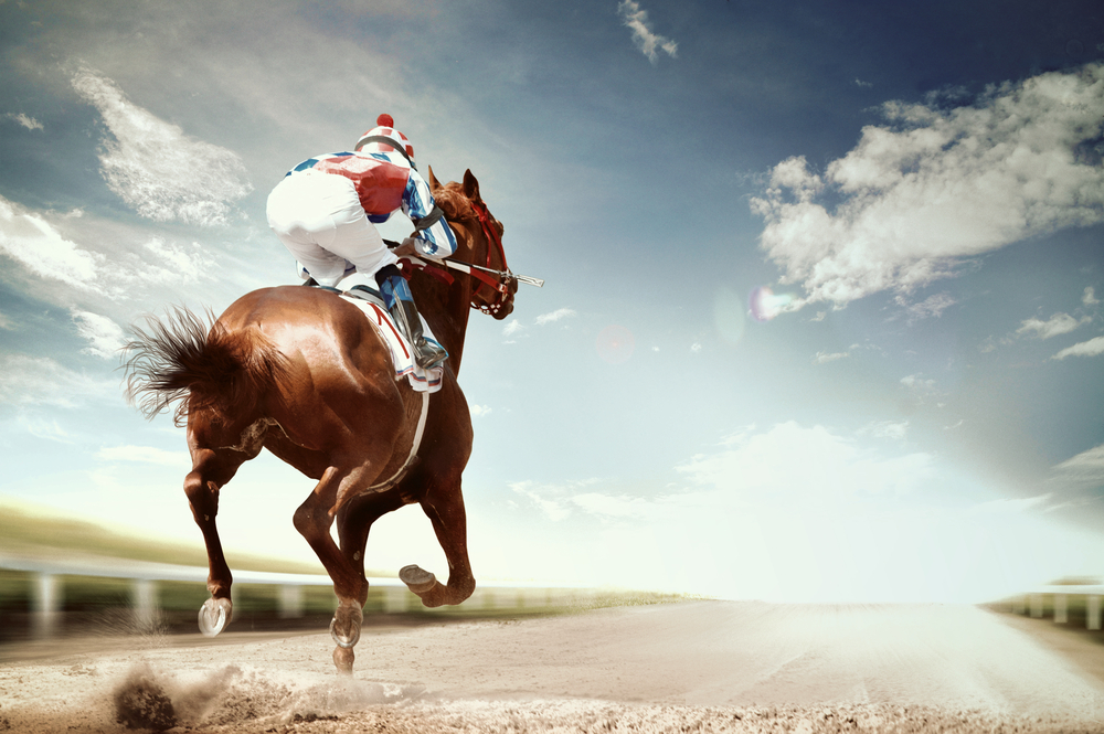 Chaos in the sky: Horse on plane forces emergency return to New York