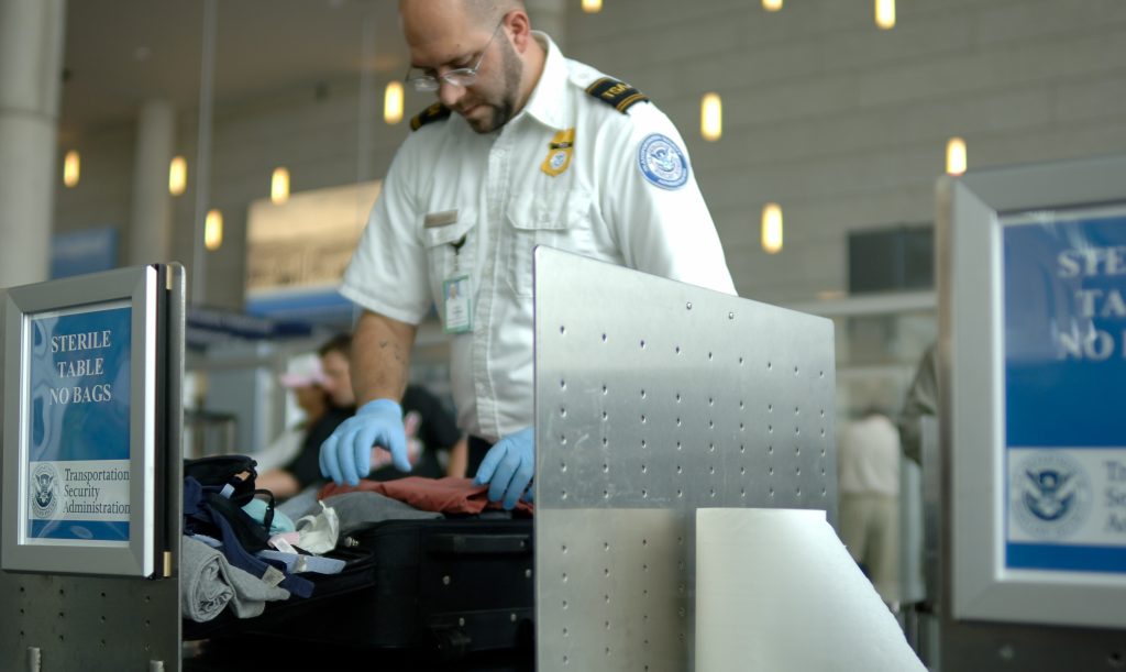 Wild Discovery at Berlin Airport: Passenger Caught with Walrus Tusk