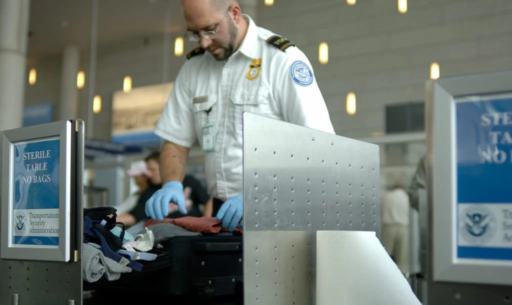 Wild Discovery at Berlin Airport: Passenger Caught with Walrus Tusk