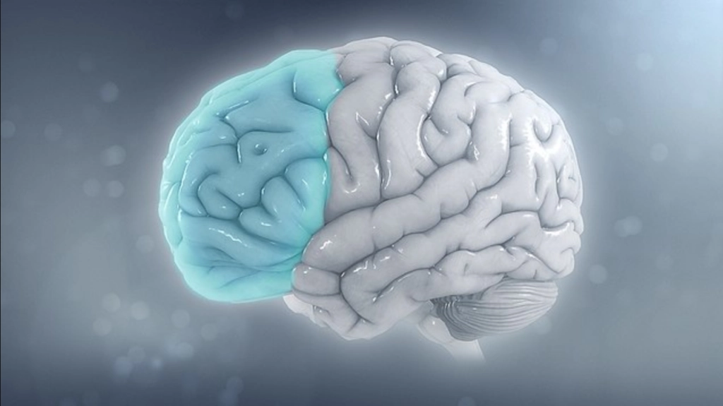 Revolutionary brain implants enable speech for paralyzed individuals