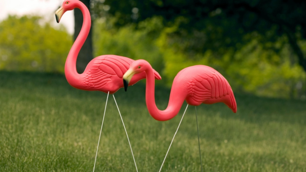 Astonished campers: The hidden meaning of pink flamingos on campgrounds