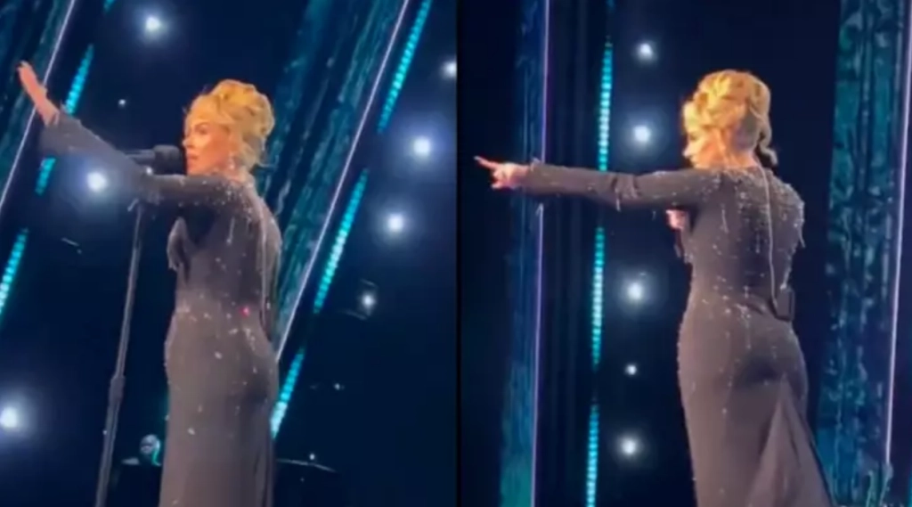 Adele halts Las Vegas concert to defend fan from security