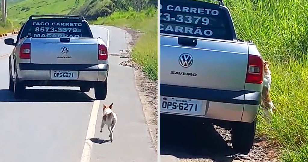 Man is so moved by viral video of dog being dumped that he goes looking and saves him