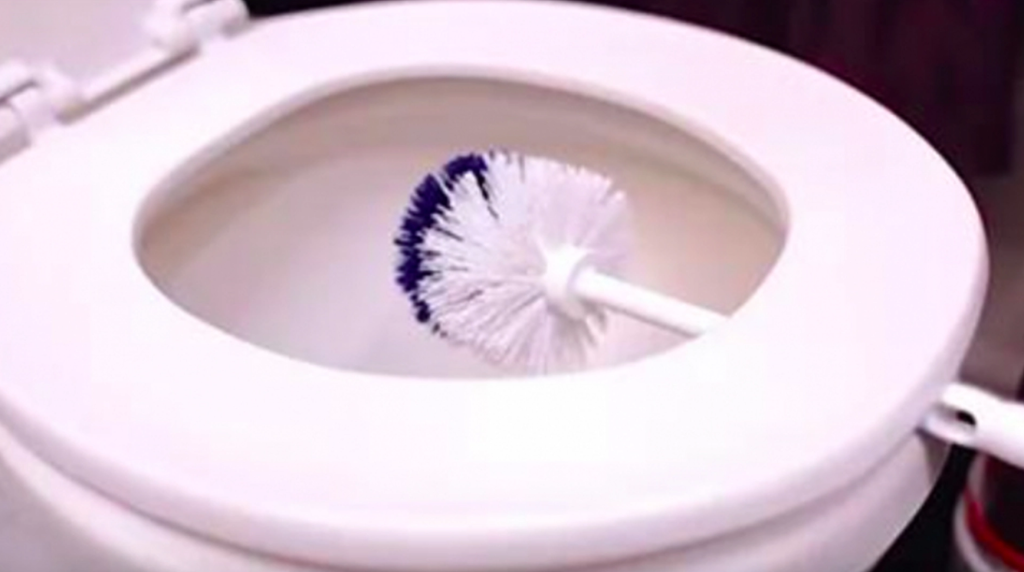 Woman leaves toilet brush under the seat for 10 minutes and the reason is brilliant