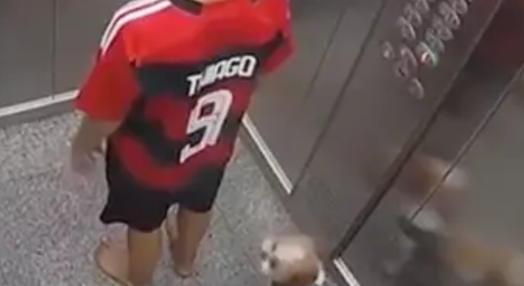 11-year-old Thiago saves his dog’s life when its leash got stuck in the elevator
