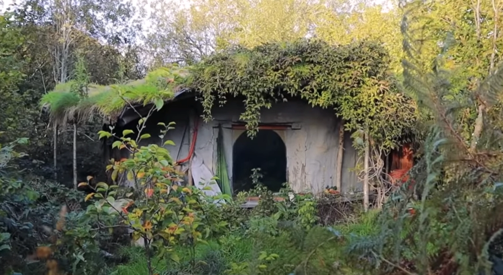 Emma builds her dream home in the forest for just $1,100 — wait until you see inside