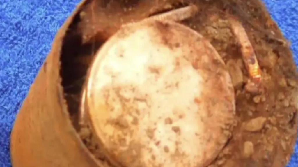 Couple discovers rusty can in their garden: Now they’re filthy rich