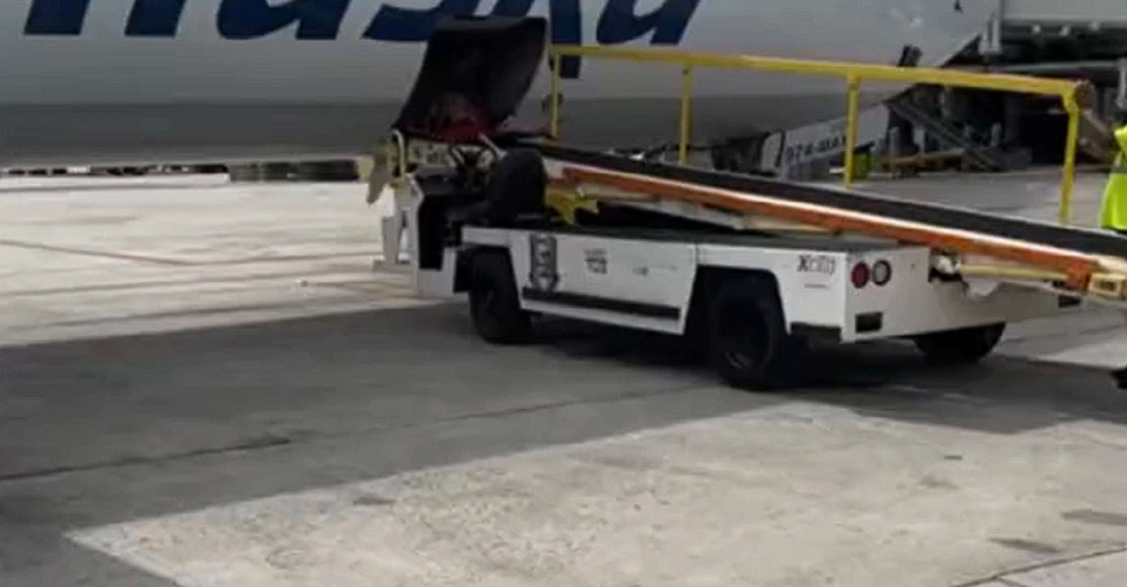 Airport staff open plane’s cargo hold: Get a shock when they look inside