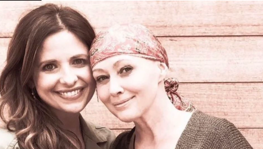 Holding On to Hope: Shannen Doherty’s Emotional Appeal During Cancer Journey