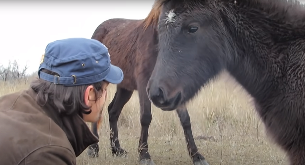 Man frees innocent horse from tight chains: Receives the greatest thank you of his life