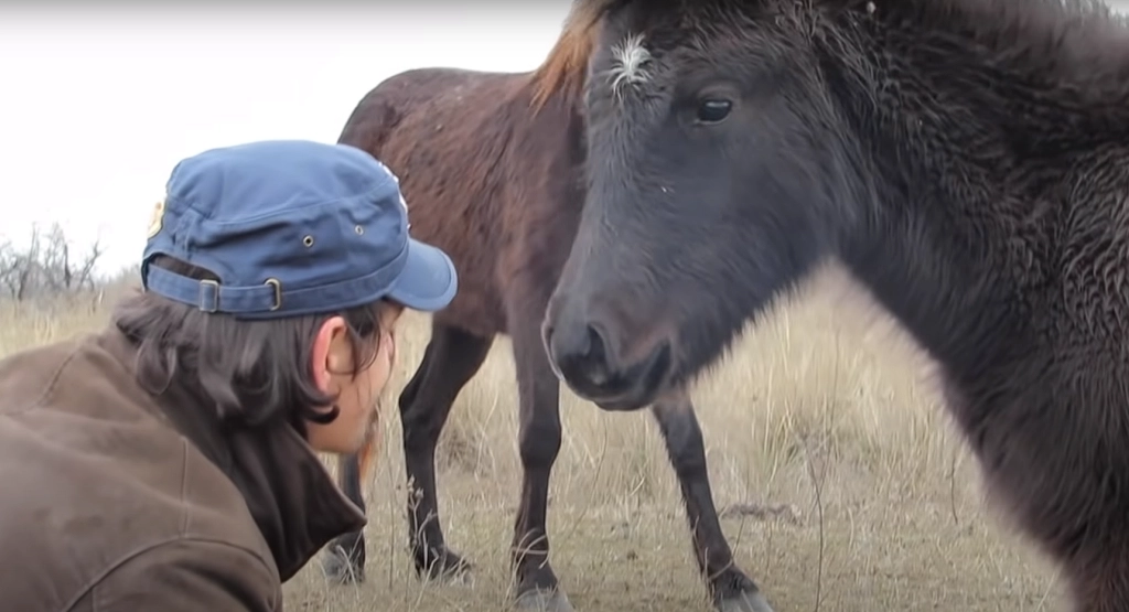 Man frees innocent horse from tight chains: Receives the greatest thank you of his life