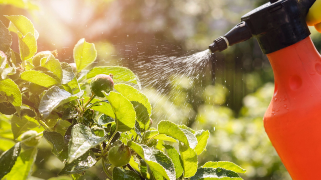 Insanely effective: How to make your own eco-friendly insect-repellent spray for plants
