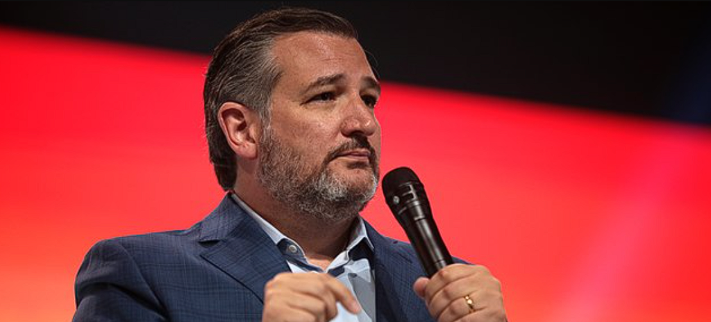 Ted Cruz claims this is the most ‘dangerous candidate’ to replace Joe Biden