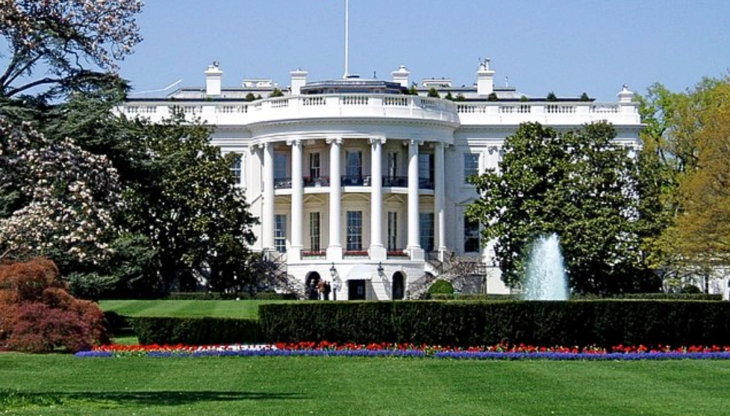 MMA Star Conor McGregor Discusses Irish Politics with Donald Trump at the White House