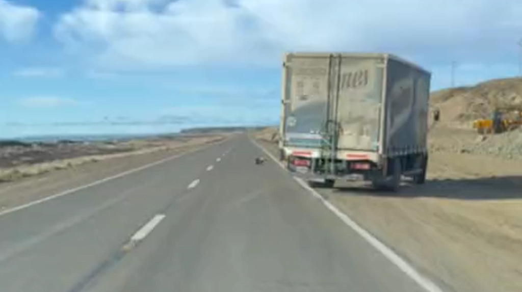 Truck makes sudden turn on highway: The reason will give you chills