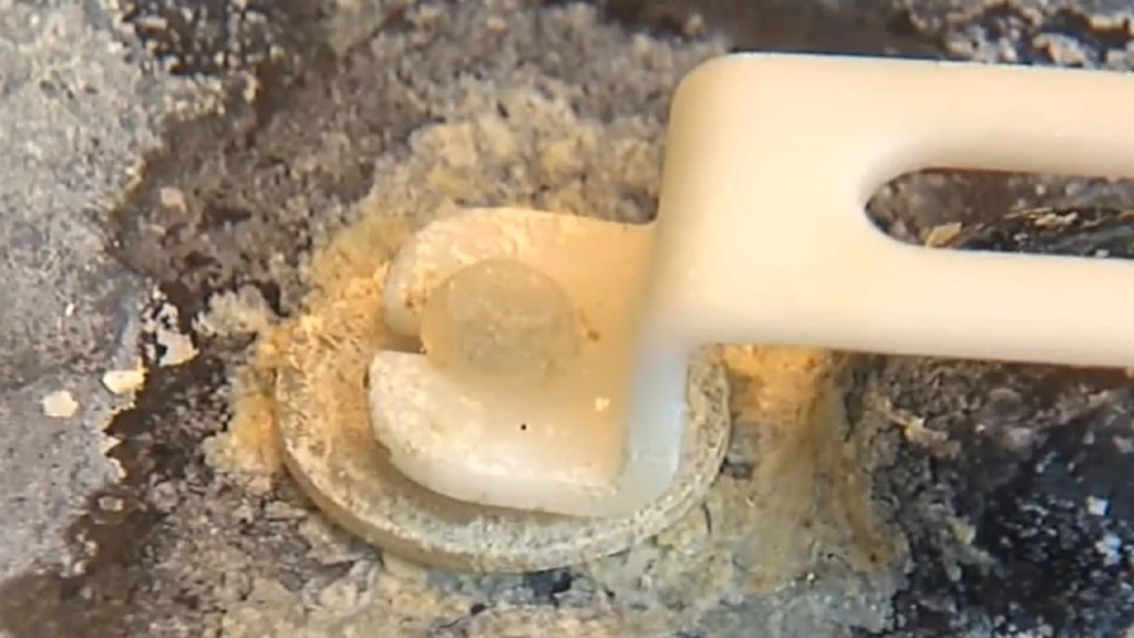 Stephanie felt ill every morning: When she looked inside her coffee machine, she found the reason