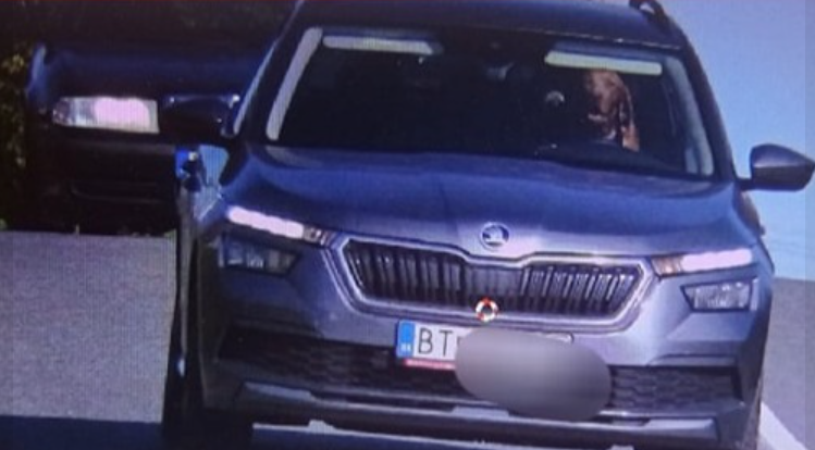Police officers couldn’t believe their own eyes: Is that a dog driving?
