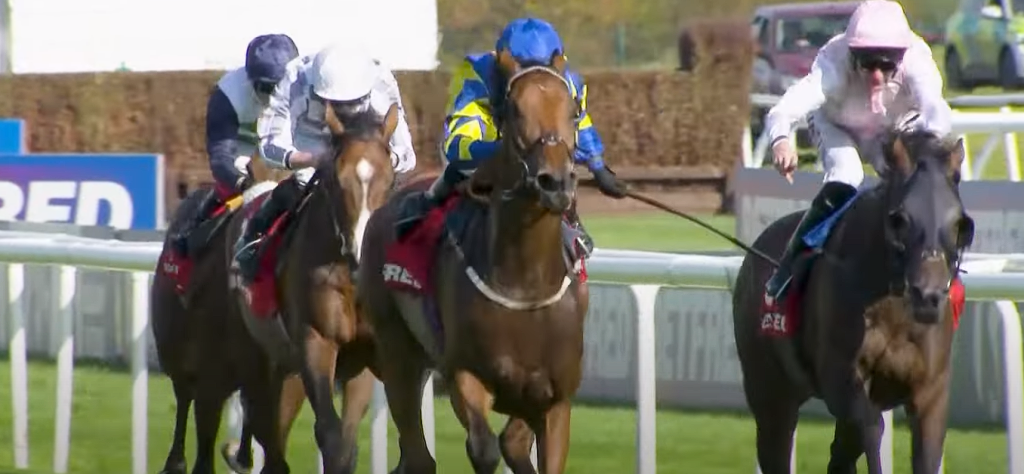 Horse Racing fans amused: How did this horse name get approved?