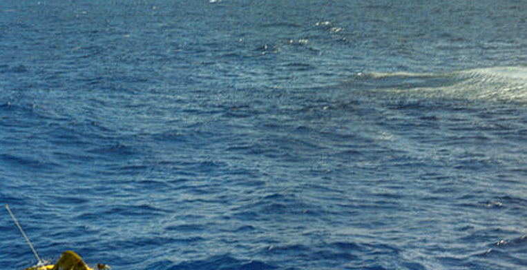 New findings in the Titan submarine tragedy