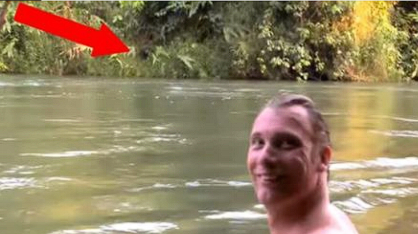 Man reunited with gorilla he cared for five years: Gorilla’s reaction is priceless
