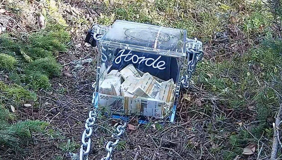 Company has hidden a million in a forest, finder gets to keep it