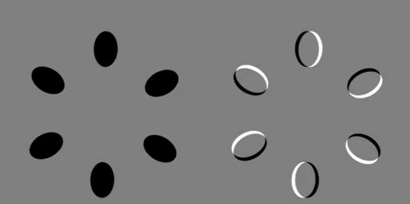 You won’t belive your eyes! Scientists say these to circles spin at the same speed – Dare to prove them wrong?