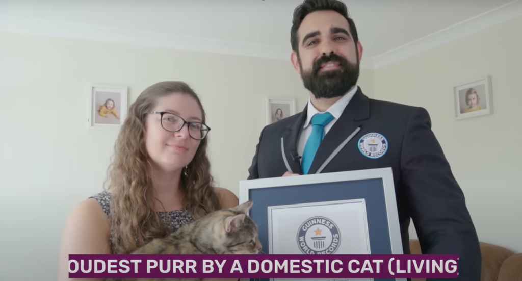 Cat breaks world record for loudest purr – Louder than a television