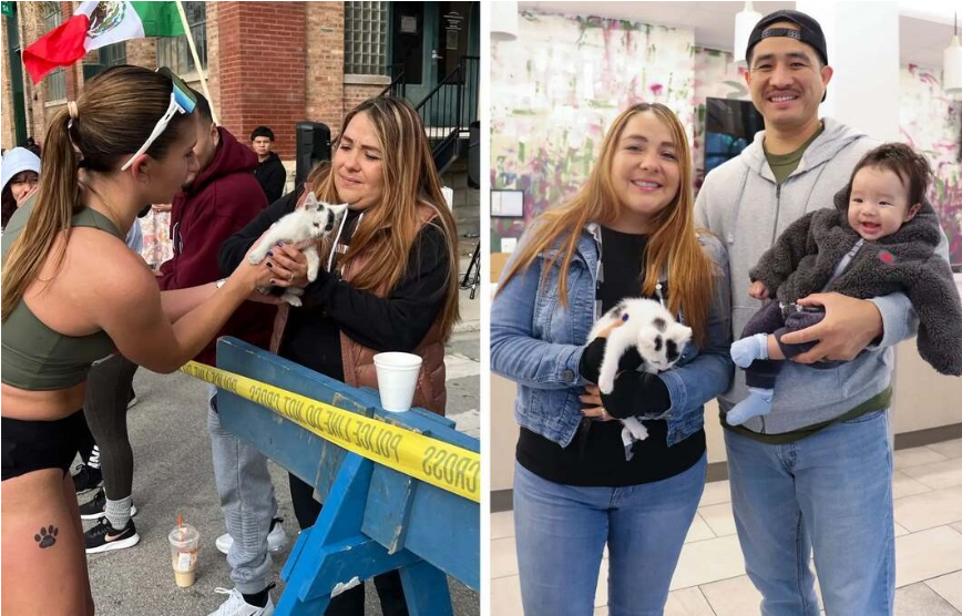 Runner’s compassion wins the day: Chicago marathoner forgoes record to rescue skinny stray kitten