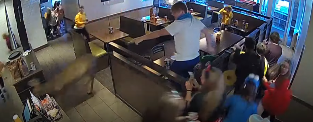 Oh, Deer me – Lunch crowd gets more than they ordered at Wisconsin eatery