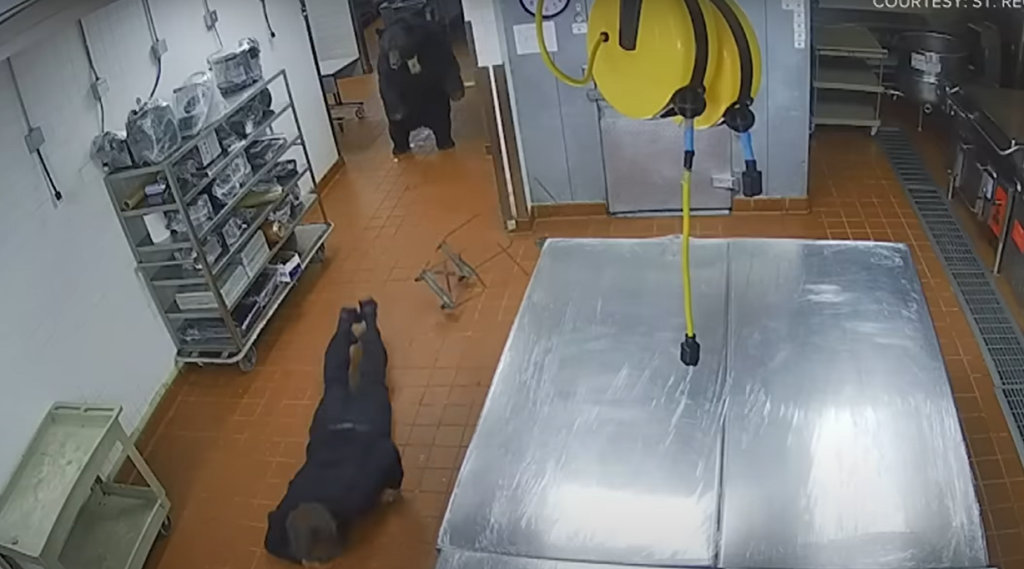 Unbelievable encounter: Security guard survives bear attack inside Aspen kitchen