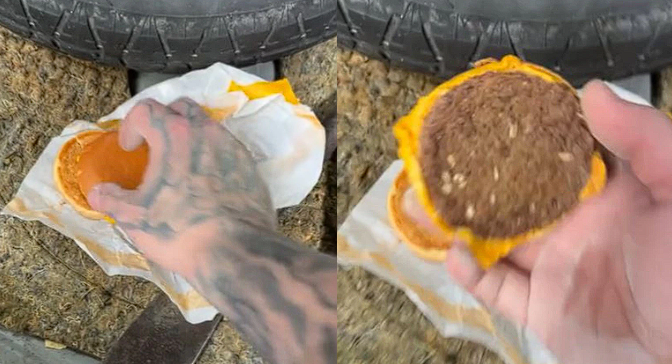Cameron finds old McDonald’s burger in car: Disturbed by detail