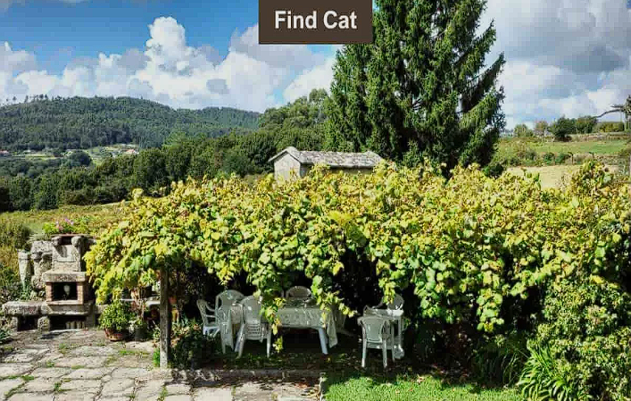 Your eyesight is perfect if you can find the hidden cat in this brain teaser