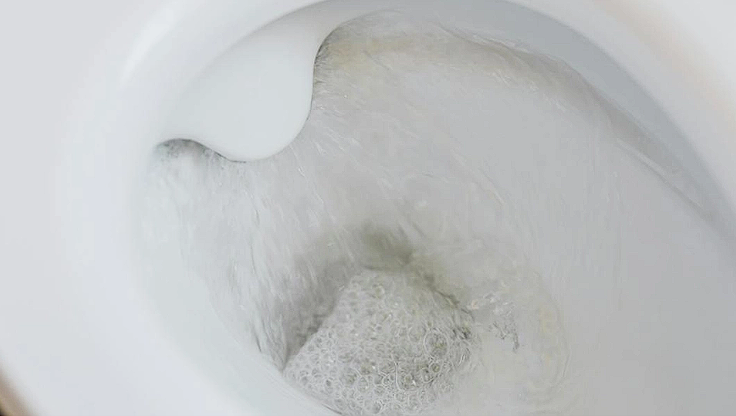 Plumbers Warn Against Cleaning Products: Can Damage Your Toilet