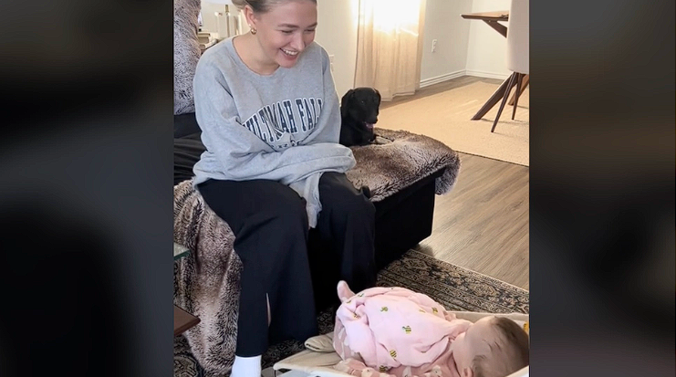 Jealous Dachshund Goes Viral: Watch its Reaction to the Family’s New Baby