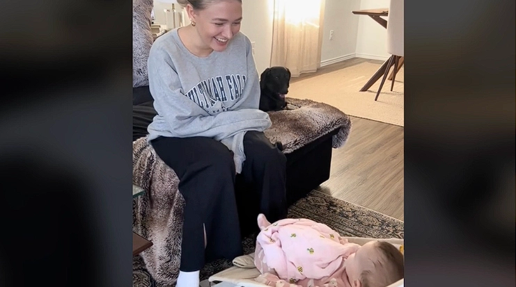 Jealous Dachshund Goes Viral: Watch its Reaction to the Family’s New Baby